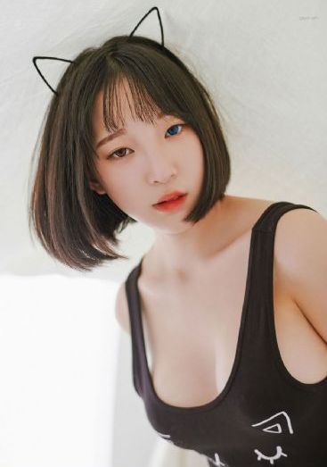 狮子王中文版