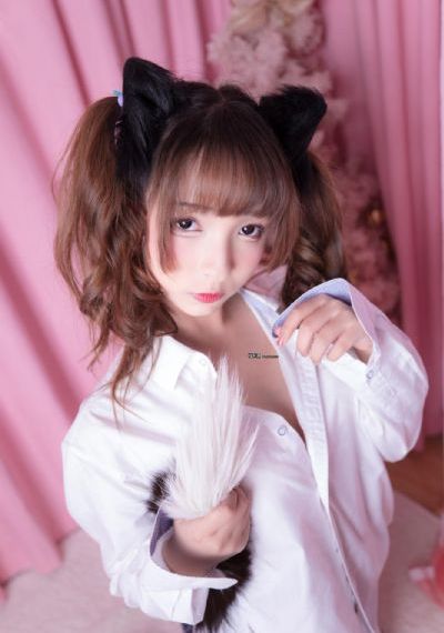 御兽王者