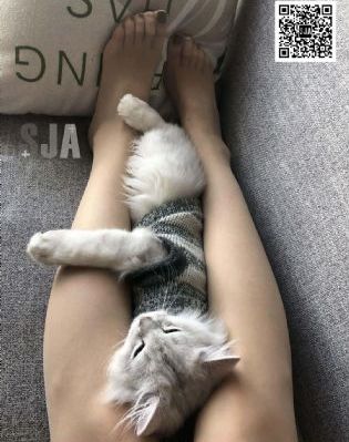 猎毒之闪电突击 电影