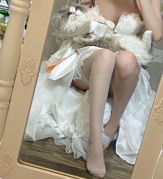 日韩美女乱淫aaa高清视频