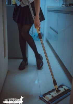 《向涟苍士献上纯洁》
