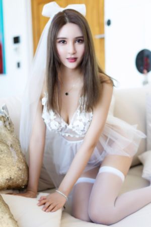 与凤行 电视剧免费观看