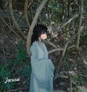 香蜜沉沉烬如霜免费观看
