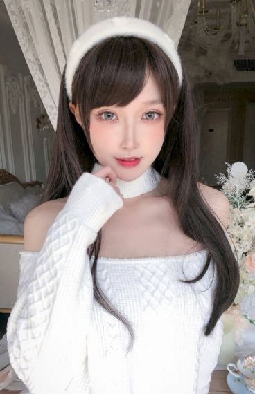 狗狗博客