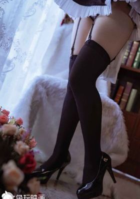 骑着鱼的猫