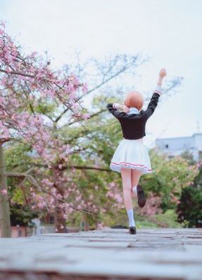 宫女淫春3免费看